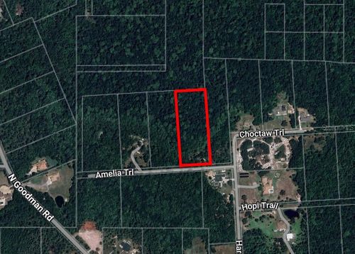 8401 Amelia Trl, KISSIMMEE, FL, 34747-1300 | Card Image