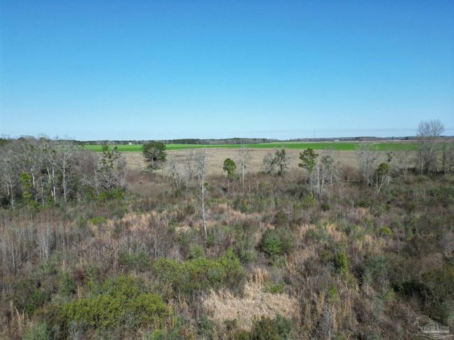 5400 Rockaway Creek Rd, Home with 0 bedrooms, 0 bathrooms and null parking in McDavid FL | Image 6