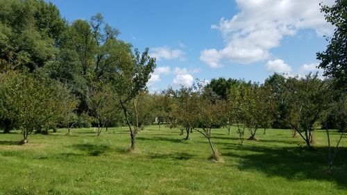 5548 W Heatherbrook Trl, Monee, IL, 60449-9249 | Card Image