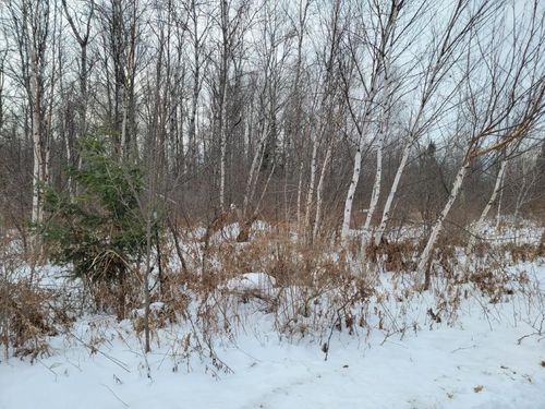 5 Acres off Weirgor Road, RADISSON, WI, 54835 | Card Image