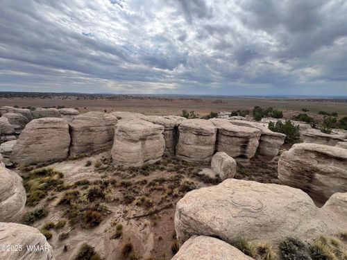 TBD (Lot 231) N9326, Concho, AZ, 85924 | Card Image