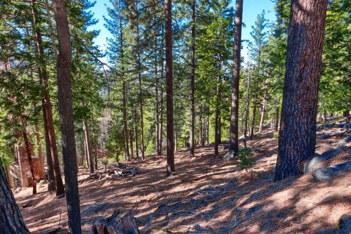 7349 Yosemite Park Way, Yosemite National Park, CA, 95389-9107 | Card Image