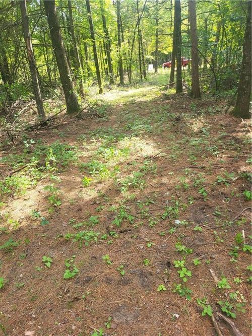Lot 4 Betty Ln, Black River Falls, WI, 54615 | Card Image