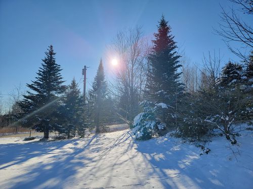 1244 Gary Moore Road, Otis, ME, 04605 | Card Image