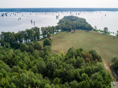 TBD Collier Road, Lewisville, AR, 71845 | Card Image