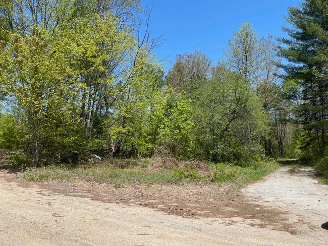 1780 Nh Route 16, Home with 0 bedrooms, 0 bathrooms and null parking in Albany NH | Image 4