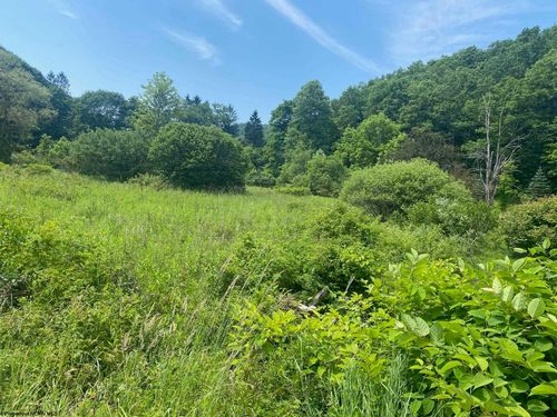 TBD Grass Lick Run, Montrose, WV, 26283 | Card Image