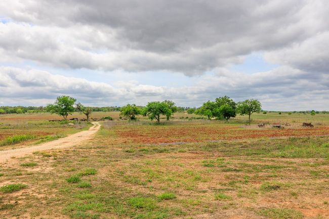 14445 E Us Highway 290, Home with 0 bedrooms, 0 bathrooms and null parking in Stonewall TX | Image 22