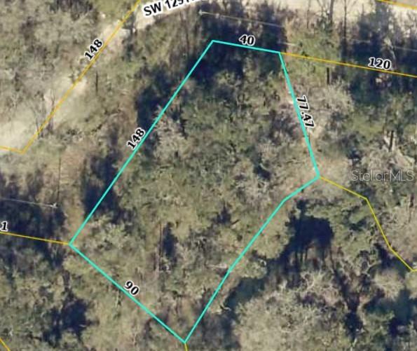 Land in WEBSTER
