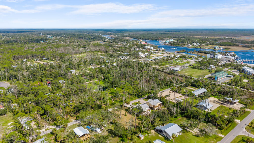 Land in Steinhatchee 4