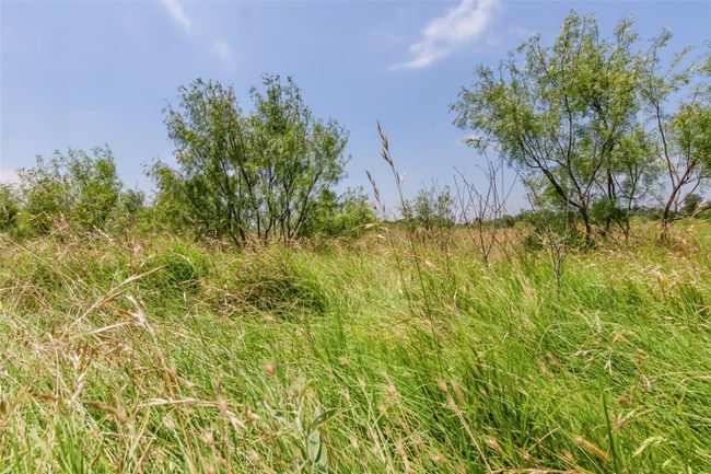 View of local wilderness | Image 16