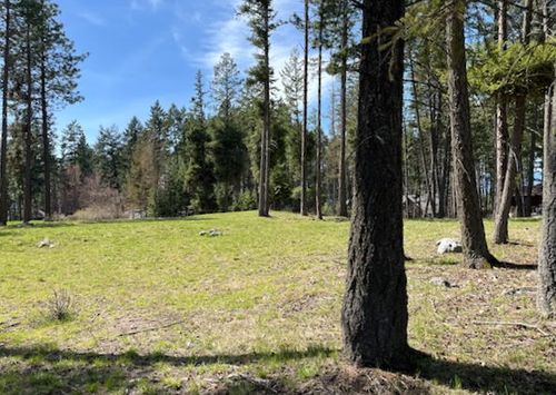 13962 Pine St, Bigfork, MT, 59911-8408 | Card Image