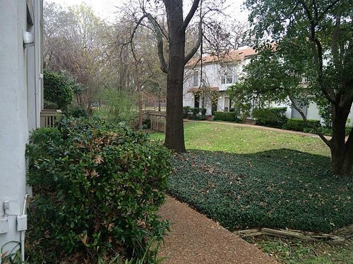 489-2100 Tanglewilde St, Houston, TX, 77063-1245 | Card Image