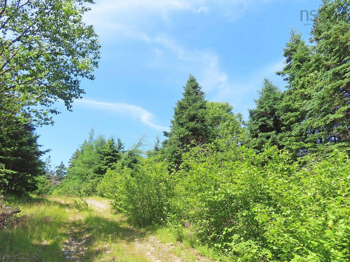 Land in Upper Grand Mira