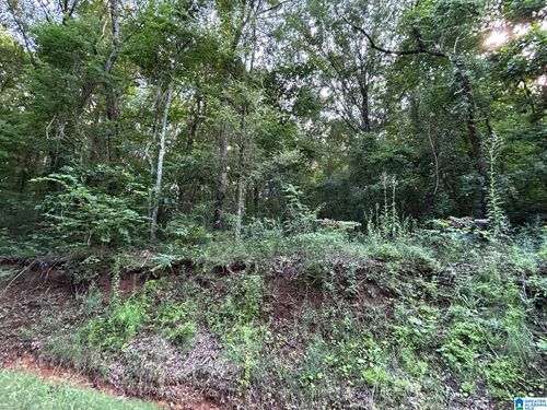 14-0 Alexandria Wellington Road, ALEXANDRIA, AL, 36250 | Card Image