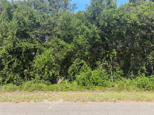 TBD Guava Terrace Radl, OCKLAWAHA, FL, 32179 | Card Image