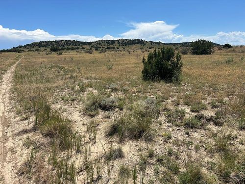 Lot 17 Longhorn Rd, Model, CO, 81059 | Card Image