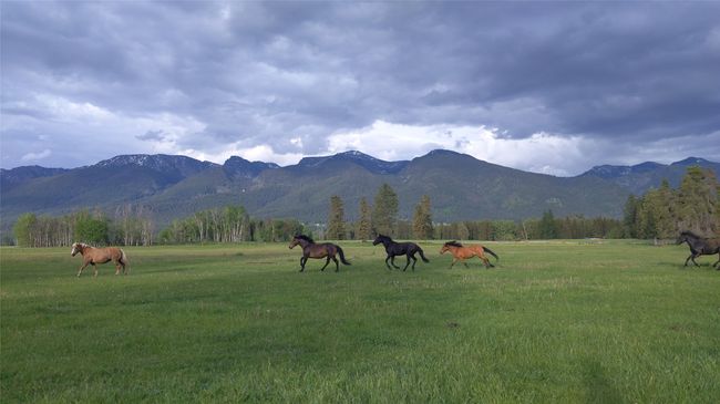 Mountain view featuring rural landscape | Image 12