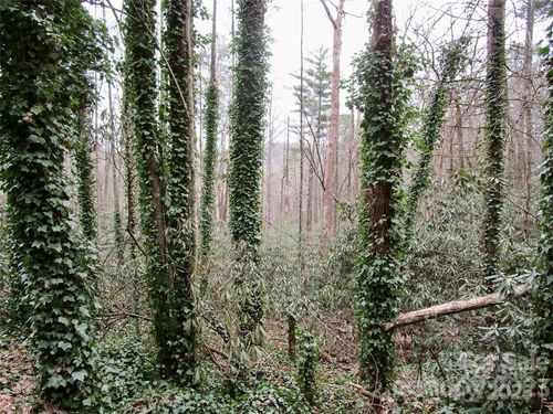 Lot #22 Toxaway Falls Drive, Lake Toxaway, NC, 28747 | Card Image
