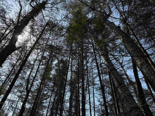 1XX 13th Ave W, Grand Marais, MN, 55604 | Card Image