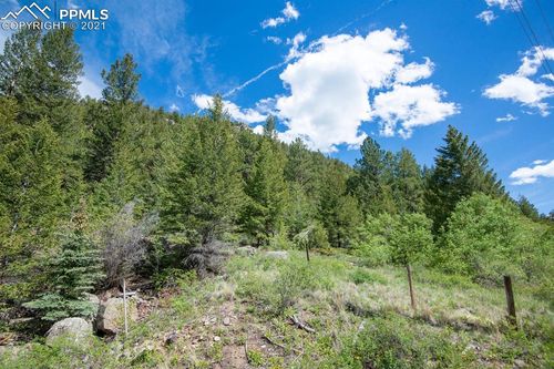 0 Bard Creek Road, Empire, CO, 80438 | Card Image