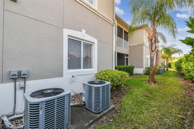 Back yard | Image 61