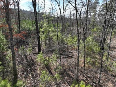 Tract 11 Big Fork Mountain Valley Lane, Home with 0 bedrooms, 0 bathrooms and null parking in Mena AR | Image 2