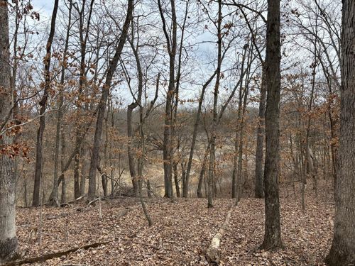 29 Leo Lane, Perry, MO, 63462 | Card Image