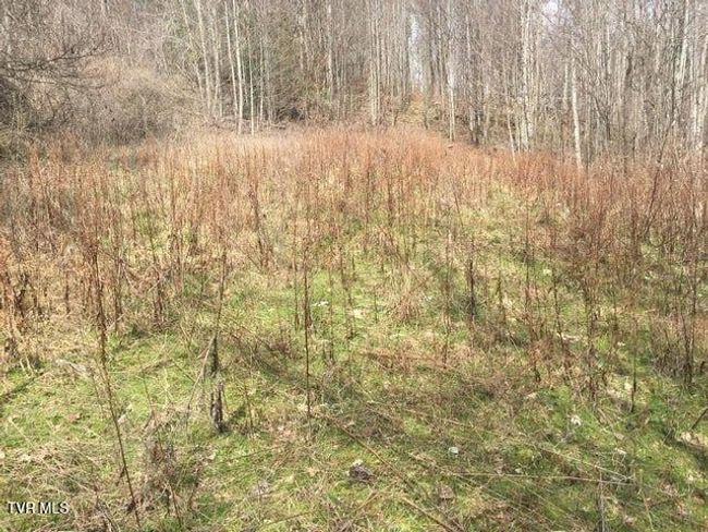 00 Heaton St, Home with 0 bedrooms, 0 bathrooms and null parking in Roan Mountain TN | Image 6