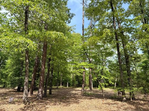 0 Deer Creek Trail Lot 6, Dublin, GA, 31021 | Card Image