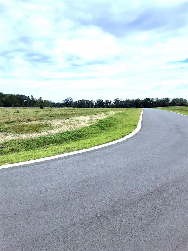 lot 7 Panoramic View Drive, Home with 0 bedrooms, 0 bathrooms and null parking in Apopka FL | Image 13