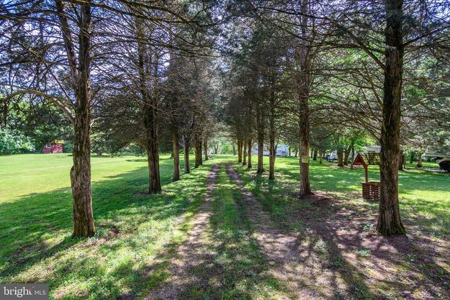 125 Spring Hollow Rd, House other with 3 bedrooms, 2 bathrooms and null parking in FRONT ROYAL VA | Image 57