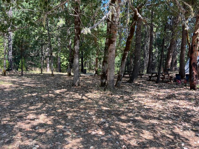 picnic:woods | Image 29