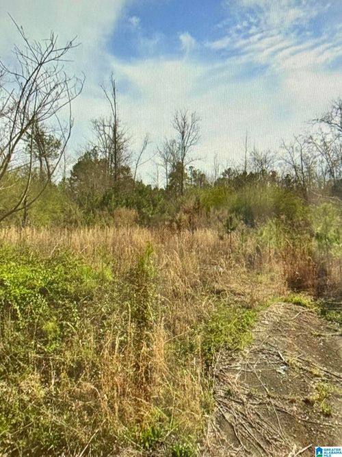 0-369 Kelley Drive, KIMBERLY, AL, 35091 | Card Image