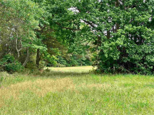 000 Oak Dale Rd, Home with 0 bedrooms, 0 bathrooms and null parking in Lonoke AR | Image 10