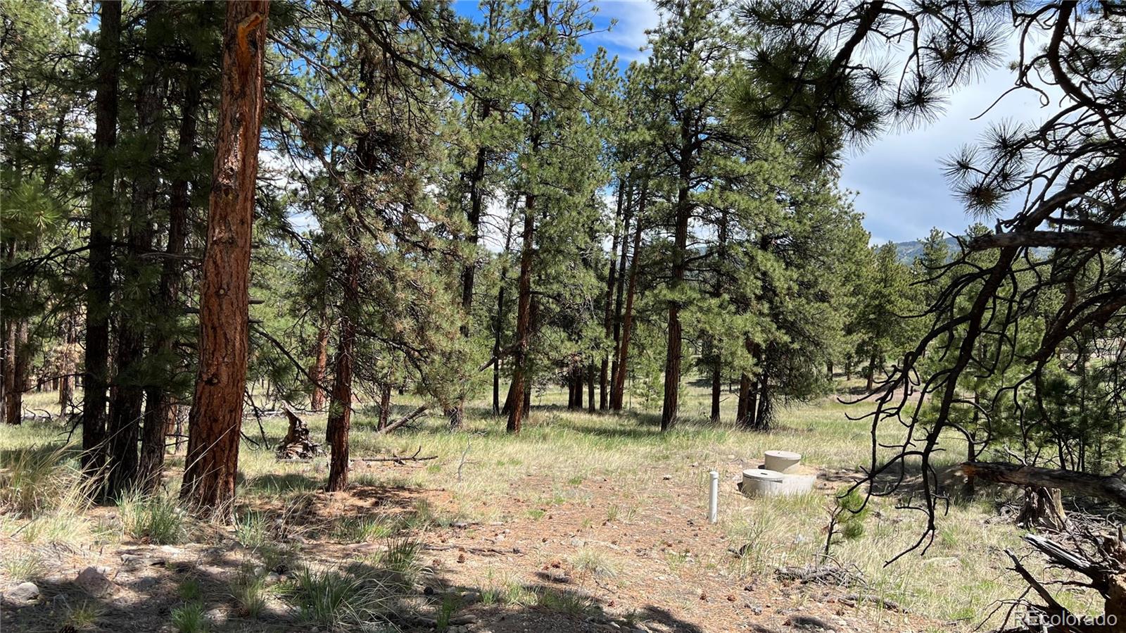 Land in Westcliffe 5