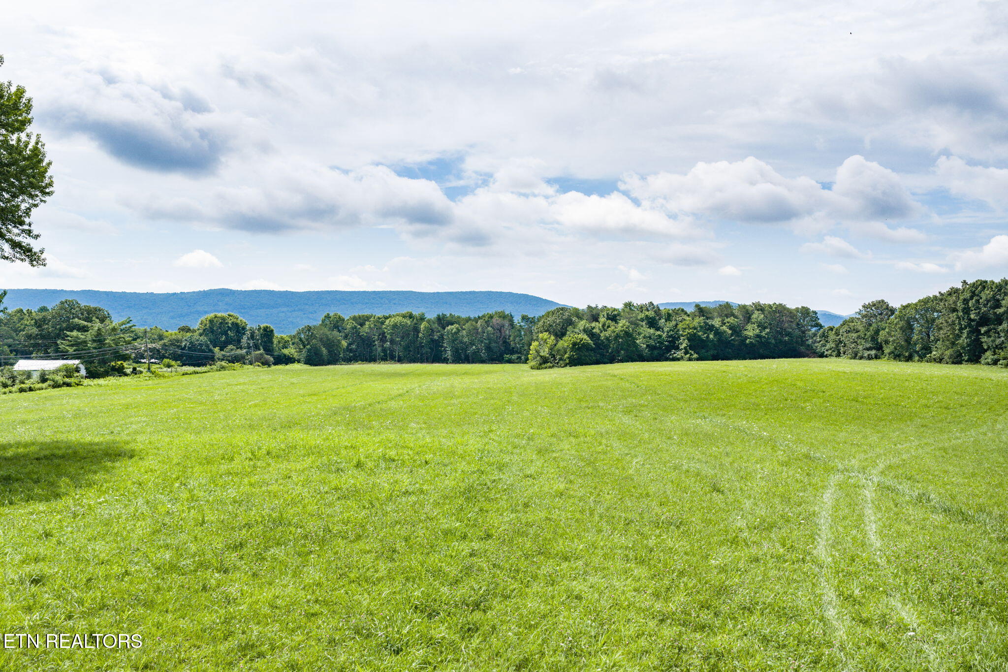 Land in Crossville 2