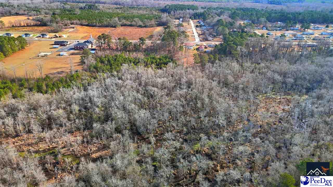 Land in Dillon