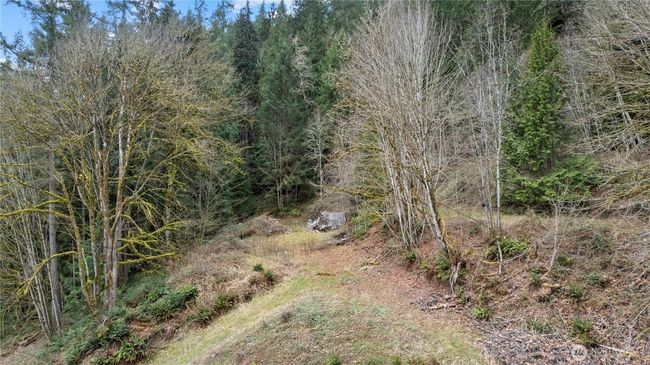 7801 Tolt River Rd Ne, Home with 0 bedrooms, 0 bathrooms and null parking in Carnation WA | Image 4
