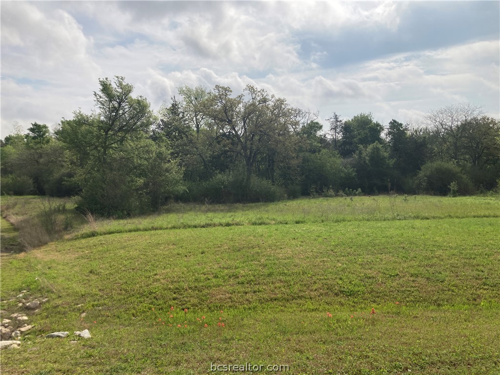 Land in College Station 3