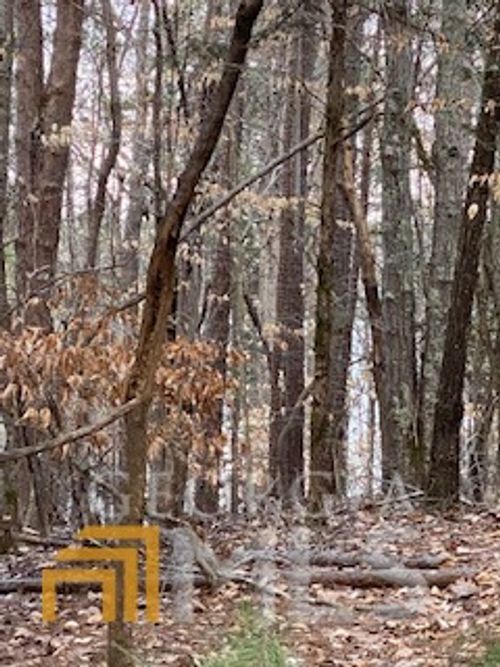 0 Bluff Rd, Elberton, GA, 30635 | Card Image