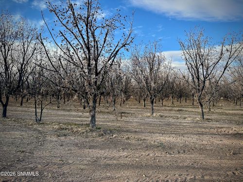 TBA Gillett Road, Anthony, NM, 88021 | Card Image