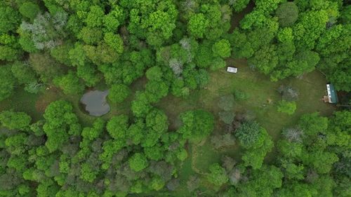 2564 Moore Hill Rd, Emporium, PA, 15834 | Card Image