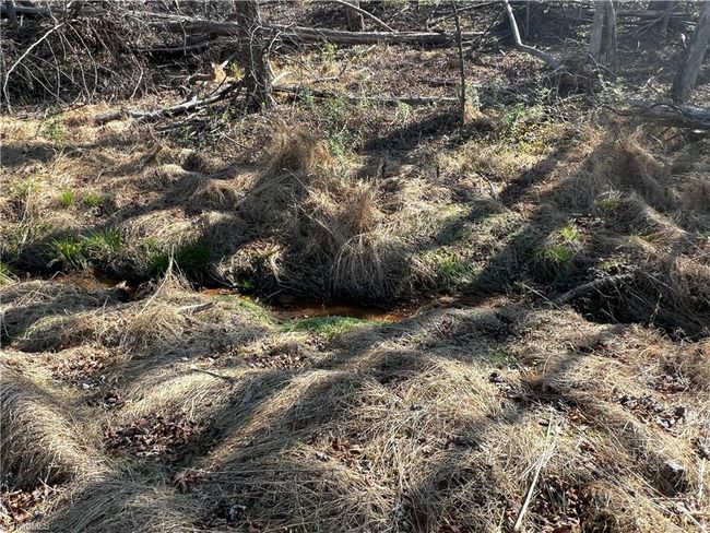 Creek | Image 23