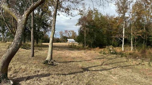 TBD Mt Carmel Rd, Falkville, AL, 35622 | Card Image