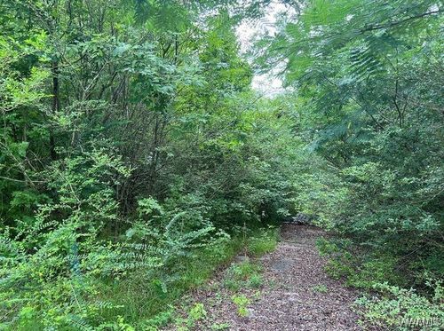 0 Rock Castle Ln, Vance, AL, 35490 | Card Image