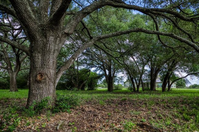 1470 S Nassau Rd, Home with 3 bedrooms, 3 bathrooms and null parking in Round Top TX | Image 20