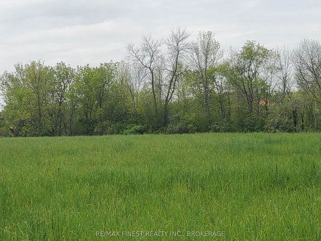 4677 Petworth Rd, Home with 0 bedrooms, 0 bathrooms and null parking in Harrowsmith ON | Image 6