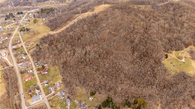 View of the extra 51.9 acres that can be bought with the land. | Image 41