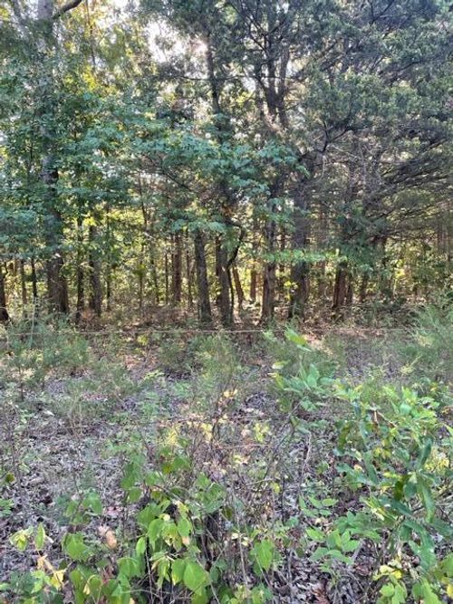 Tbd County Road 203, Wheatland, MO, 65779 | Card Image